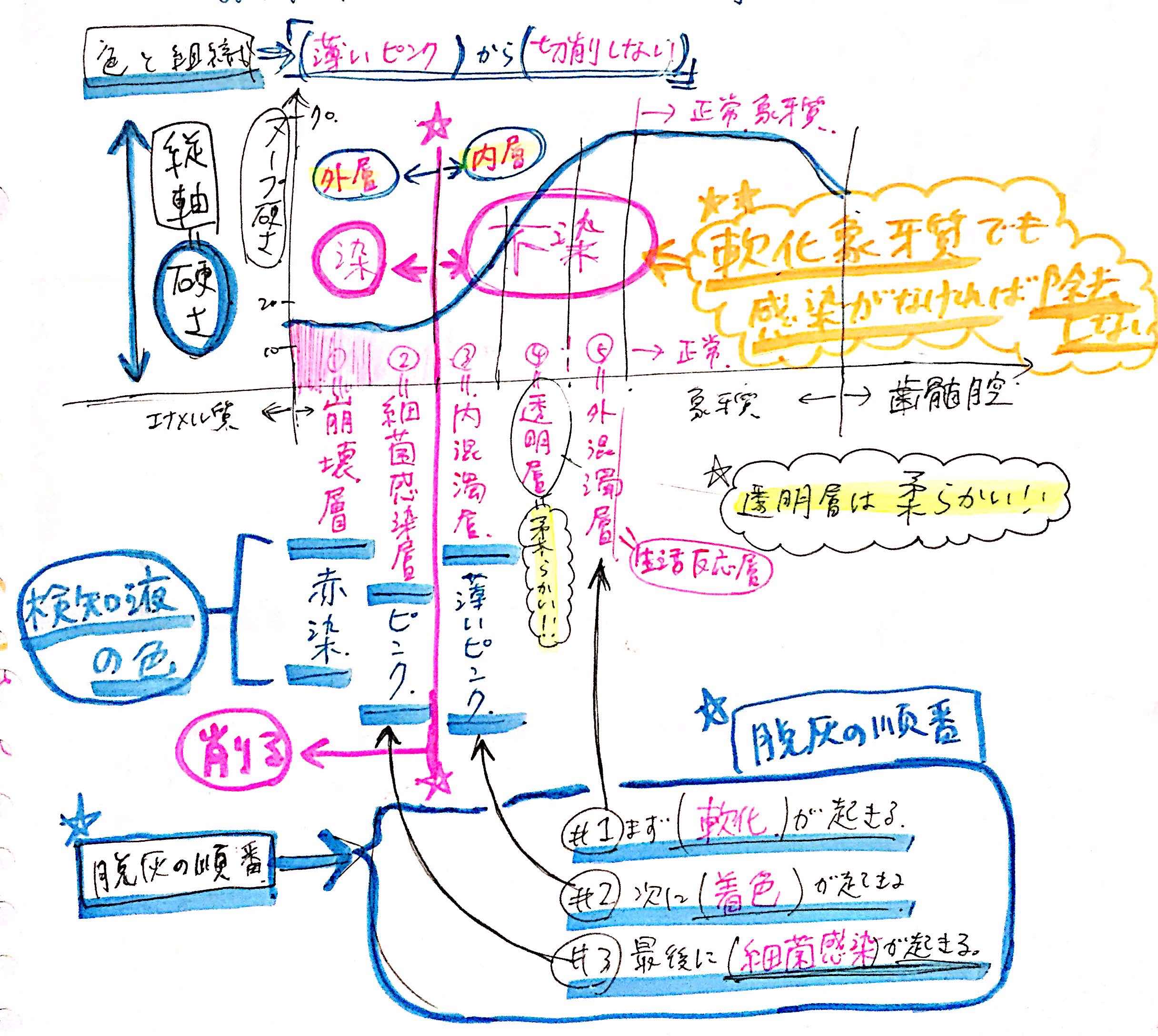 う蝕象牙質と層