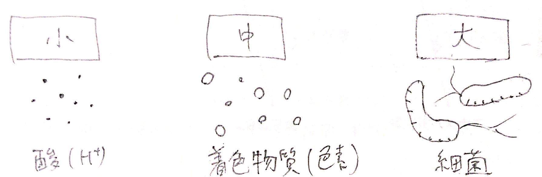 物質と細菌のサイズ