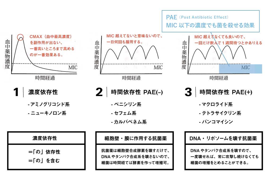 濃度依存_時間依存_抗菌薬