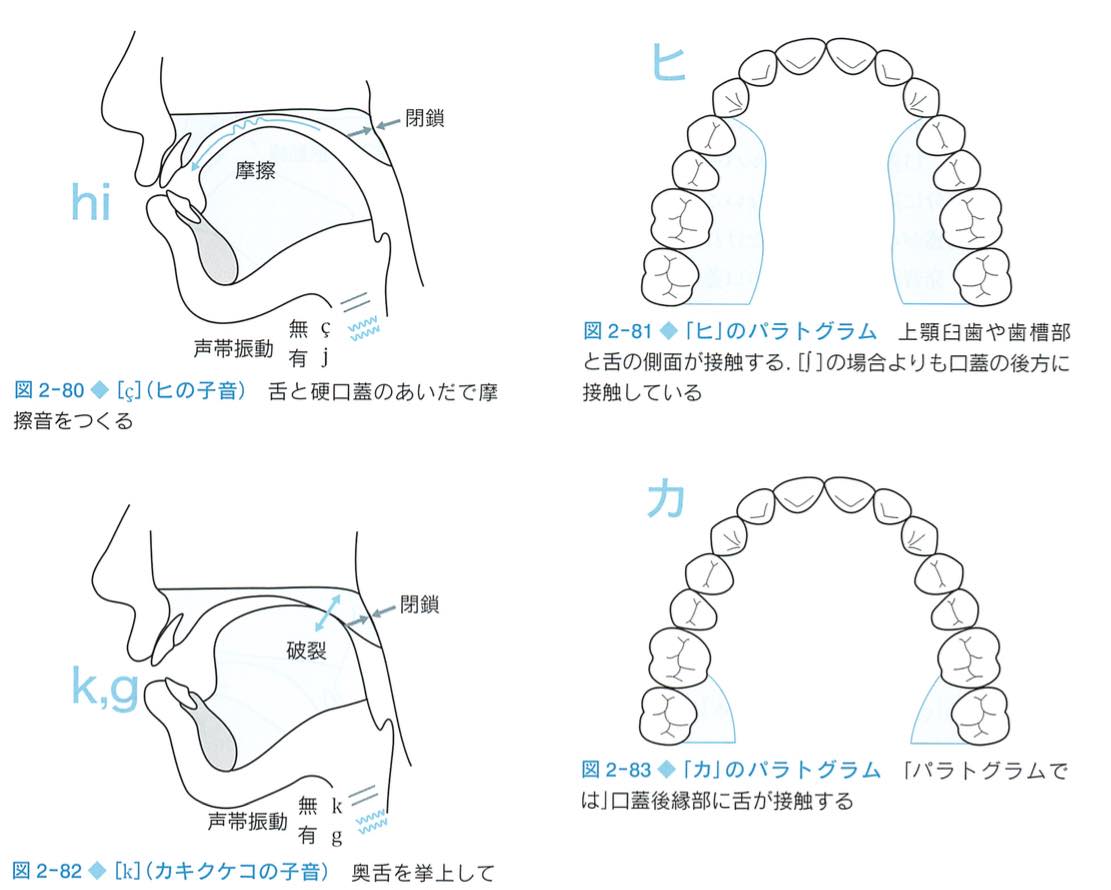 パラトグラム