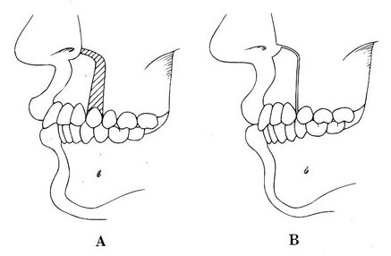 b2dbf0e8-117a-4c05-b3b9-0f03abfb55d3