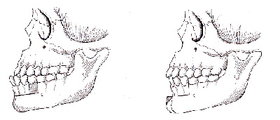 d2988e4e-2736-4fc4-8924-83f151e75e5a