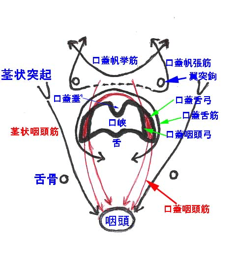 519bf2c5-47c5-4775-8fa1-3ae334104882
