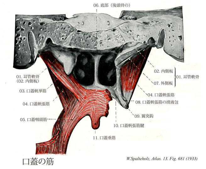 91326383-5d43-4c6e-99b9-587ea896f1f5