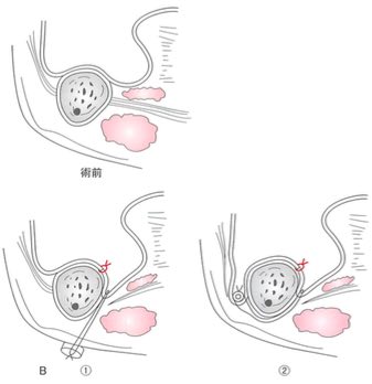 スクリーンショット 2016 10 07 10 14 48
