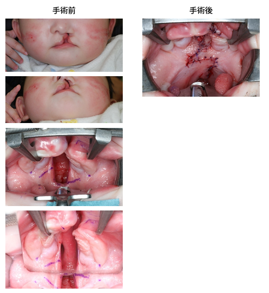 8F55EA34 2CA4 478A 859D 821AF260412D