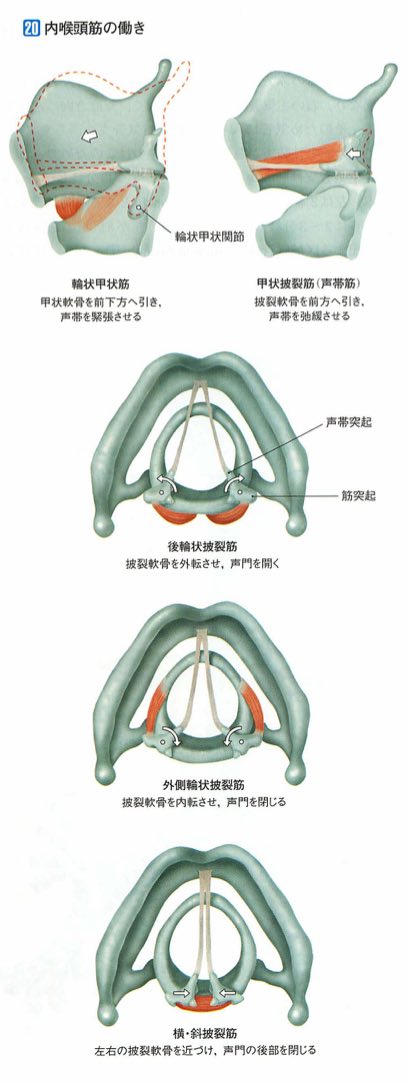 スクリーンショット 2017 01 21 4 29 31