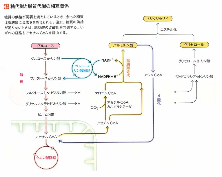 スクリーンショット 2017 01 21 4 34 18