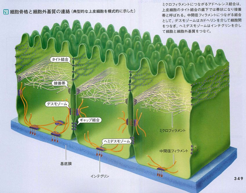 スクリーンショット 2017 01 21 4 39 13