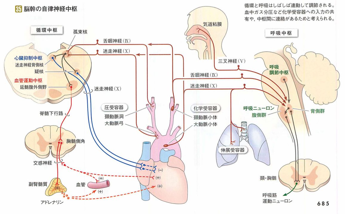 スクリーンショット 2017 01 23 0 18 39