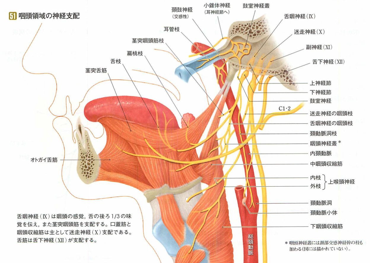 スクリーンショット 2017 01 23 0 21 25
