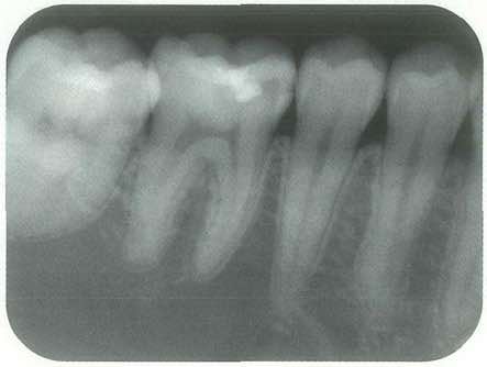 スクリーンショット 2017 01 19 16 05 03