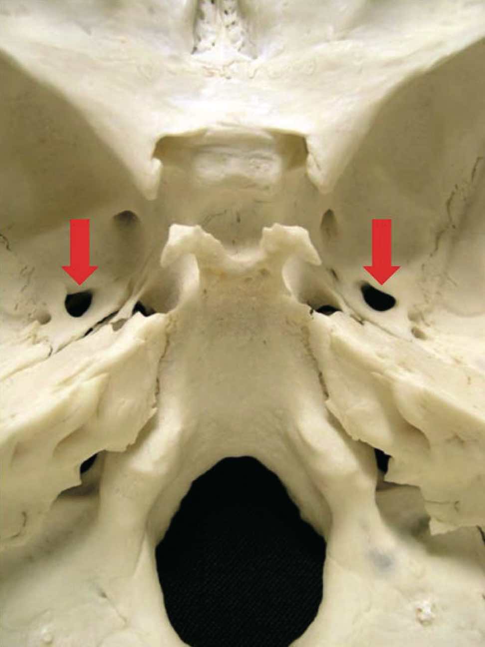 スクリーンショット 2017 01 25 19 24 27