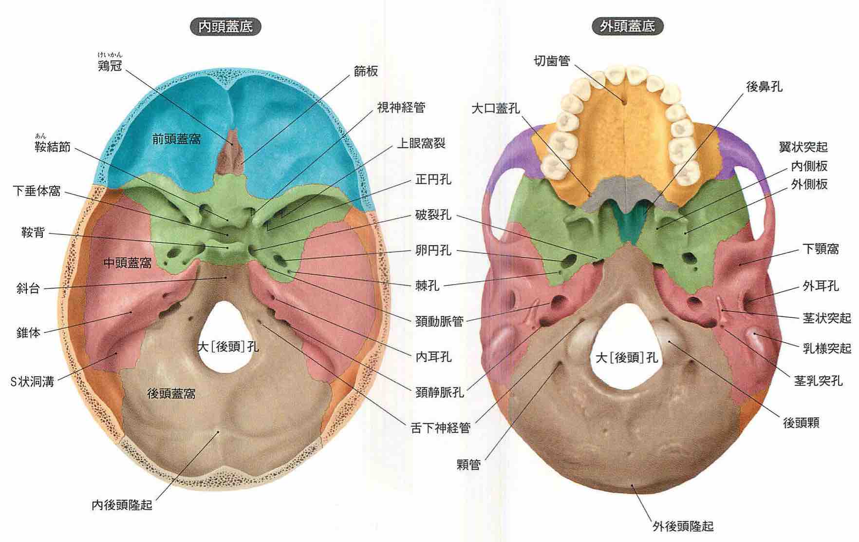 スクリーンショット 2017 01 25 19 32 55