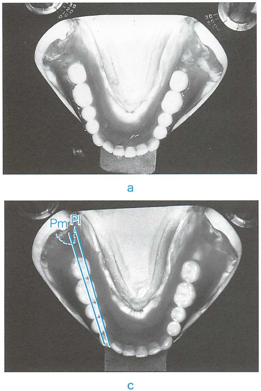 スクリーンショット 2017 01 27 19 57 31